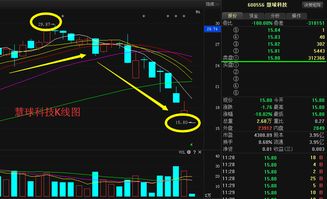 慧球科技600556大跌停牌真实原因及复盘后走势分析